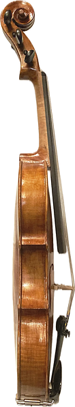 Big Leaf Maple Side plate of 5-string fiddle #14 handcrafted in Oregon by Artisanal Luthier, Chet Bishop