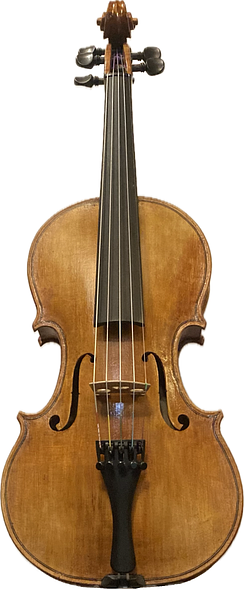 Englemann Spruce Front plate on a 5-string bluegrass fiddle handcrafted in Oregon by artisanal Luthier Chet Bishop