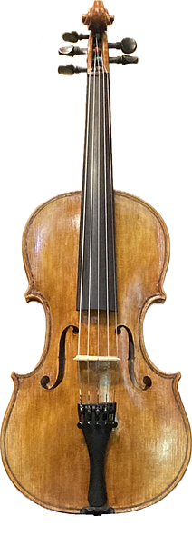 European Spruce front of 5-string bluegrass fiddle handcrafted in Oregon by Chet Bishop, artisanal Luthier.