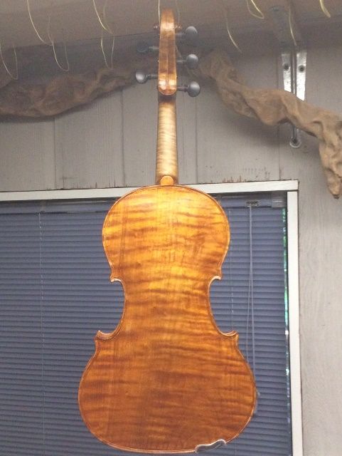 Oliver acoustic 5-string viola 14" Back view. Handmade in Oregon by Chet Bishop.