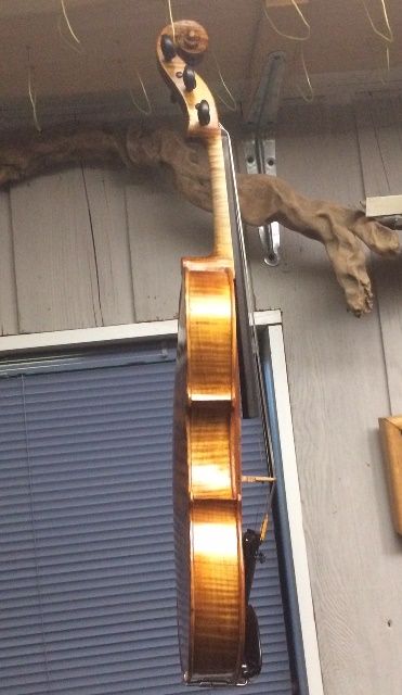 Side viewof Oliver acoustic 5-string 14" viola. Handmade in Oregon by Chet Bishop.