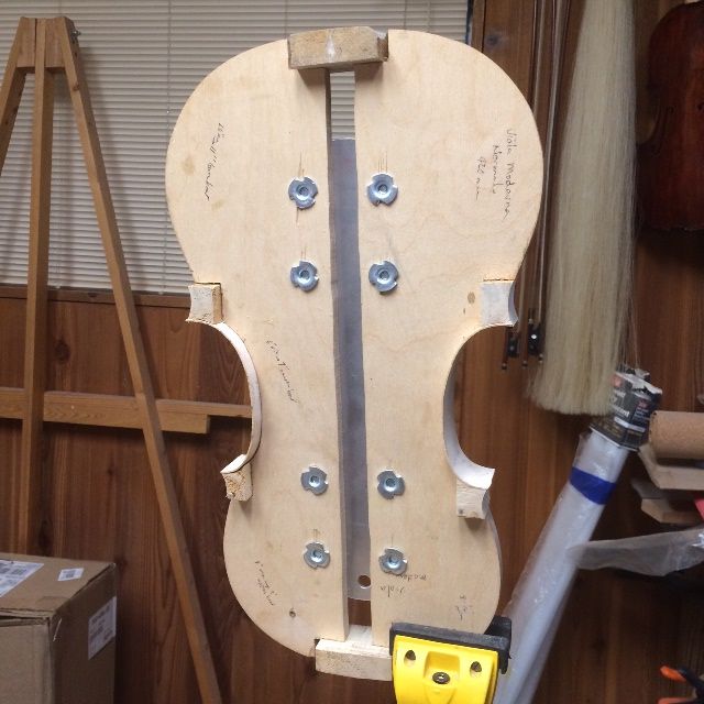 Center ribs trimmed to match the curvature of the blocks of the 16-1/2" five-string Viola.