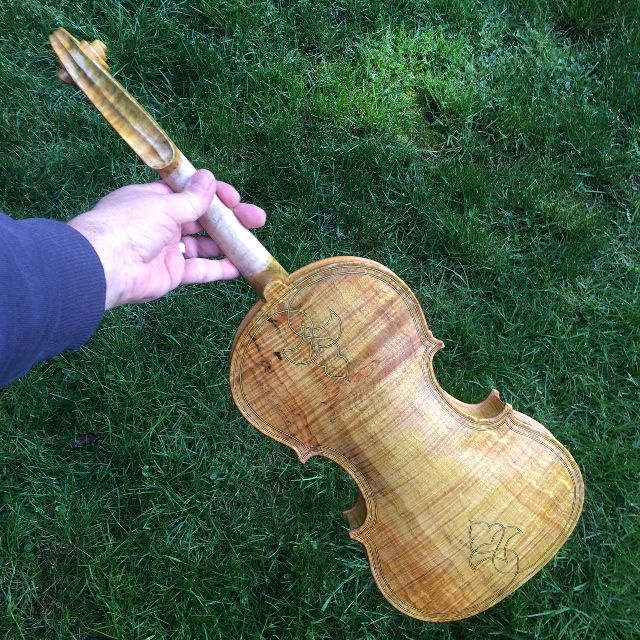 Base coat of yellow varnish on the back side-view of the 15" Five-string viola.
