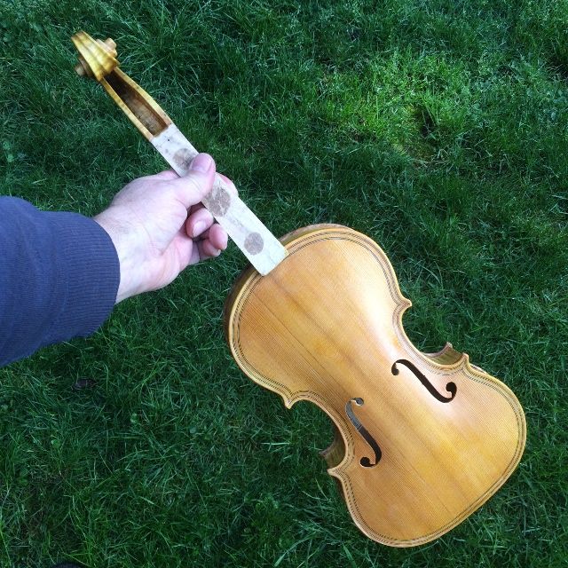 Base coat of yellow varnish on front side of 15" Five-string viola.