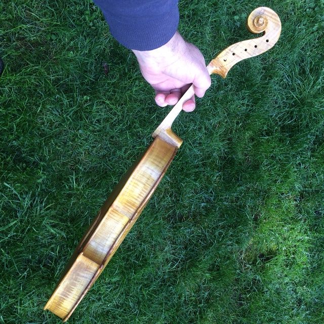 Base coat of yellow varnish on the side-view of the 15" Five-string viola.