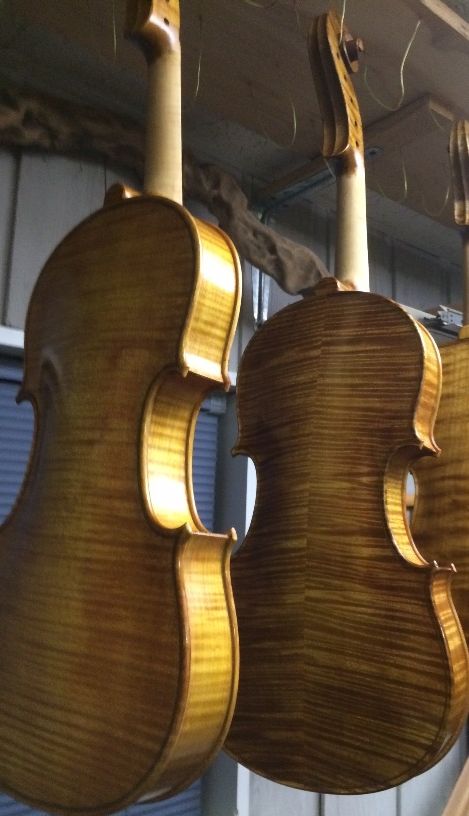 five string fiddles early varnish look