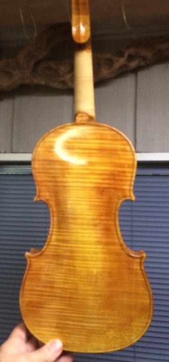 Snapshot of back of Five-string fiddle.