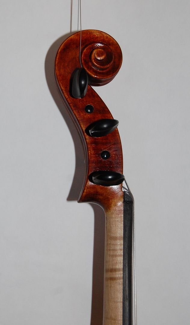 Close-up of Five String Fiddle scroll.