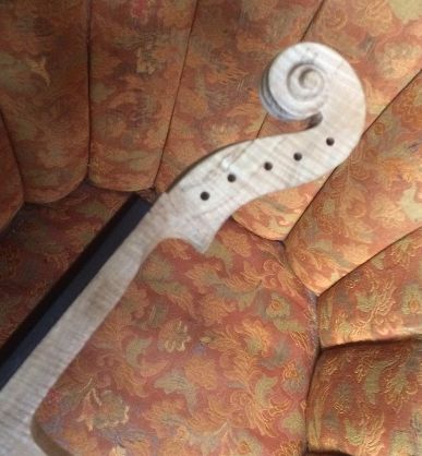 15" Five-string viola Scroll looking pretty close to complete: Fingerboard temporarily installed.
