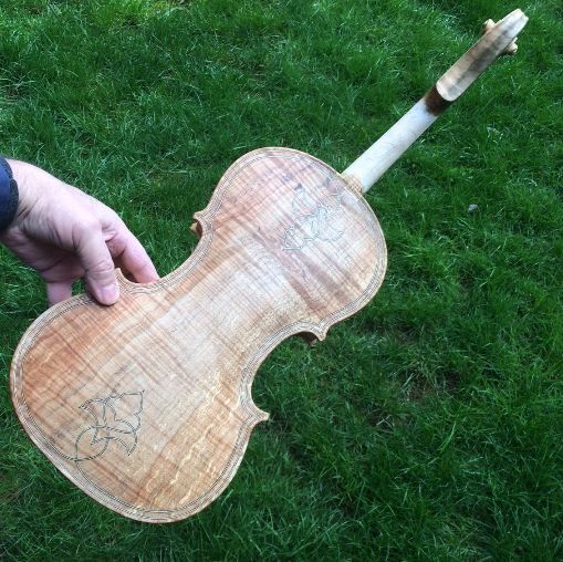 Back-view of 15" Five-string viola, with sealer.