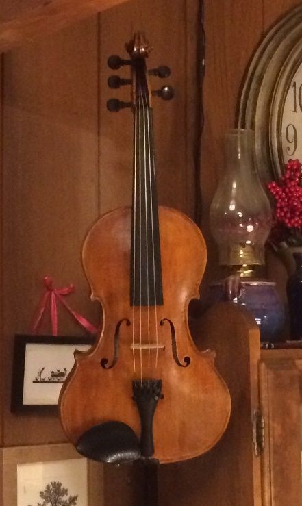 Front view of 14" Five String Viola