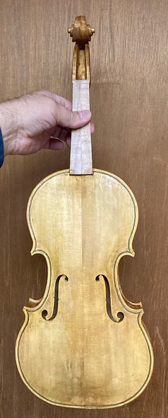 Yellow base coats of varnish on five string fiddle handcrafted in Oregon by artisanal luthier Chet Bishop