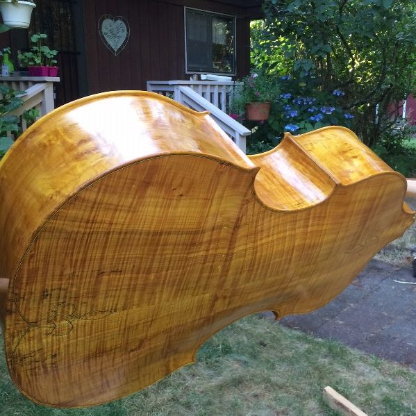Second yellow coat for sides and back of five-string double bass.