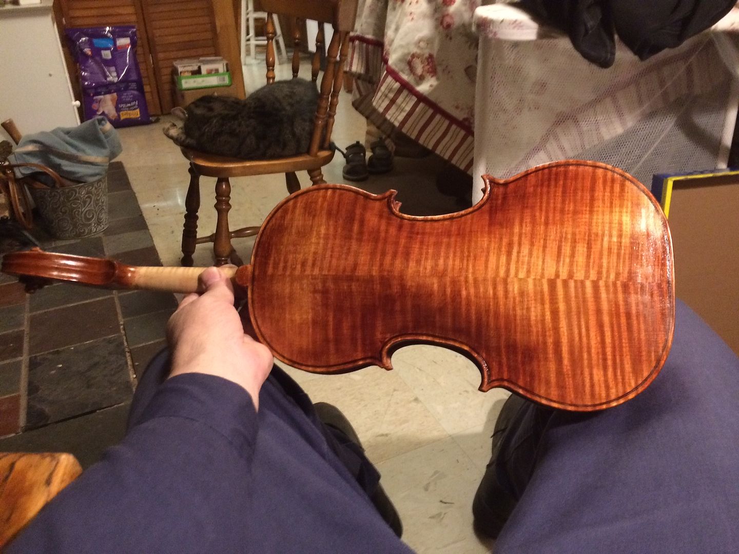 five-string bluegrass fiddle back, handmade in Oregon by Chet Bishop, Luthier.