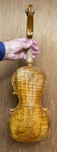 First color coat on back of commissioned 5-string fiddle handcrafted in Oregon by artisanal Luthier, Chet Bishop