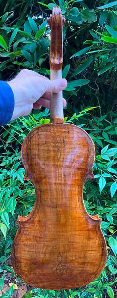 4th color coat, back side of five string fiddle handcrafted in Oregon by Artisanal Luthier Chet Bishop.