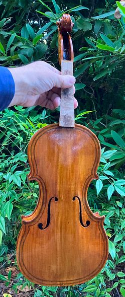 Fourth color coat on five string fiddle handcrafted in Oregon by artisanal Luthier Chet Bishop.