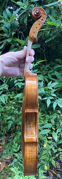 4th color coat treble side of 5-string fiddle handcrafted in Oregon by artisanal Luthier Chet Bishop