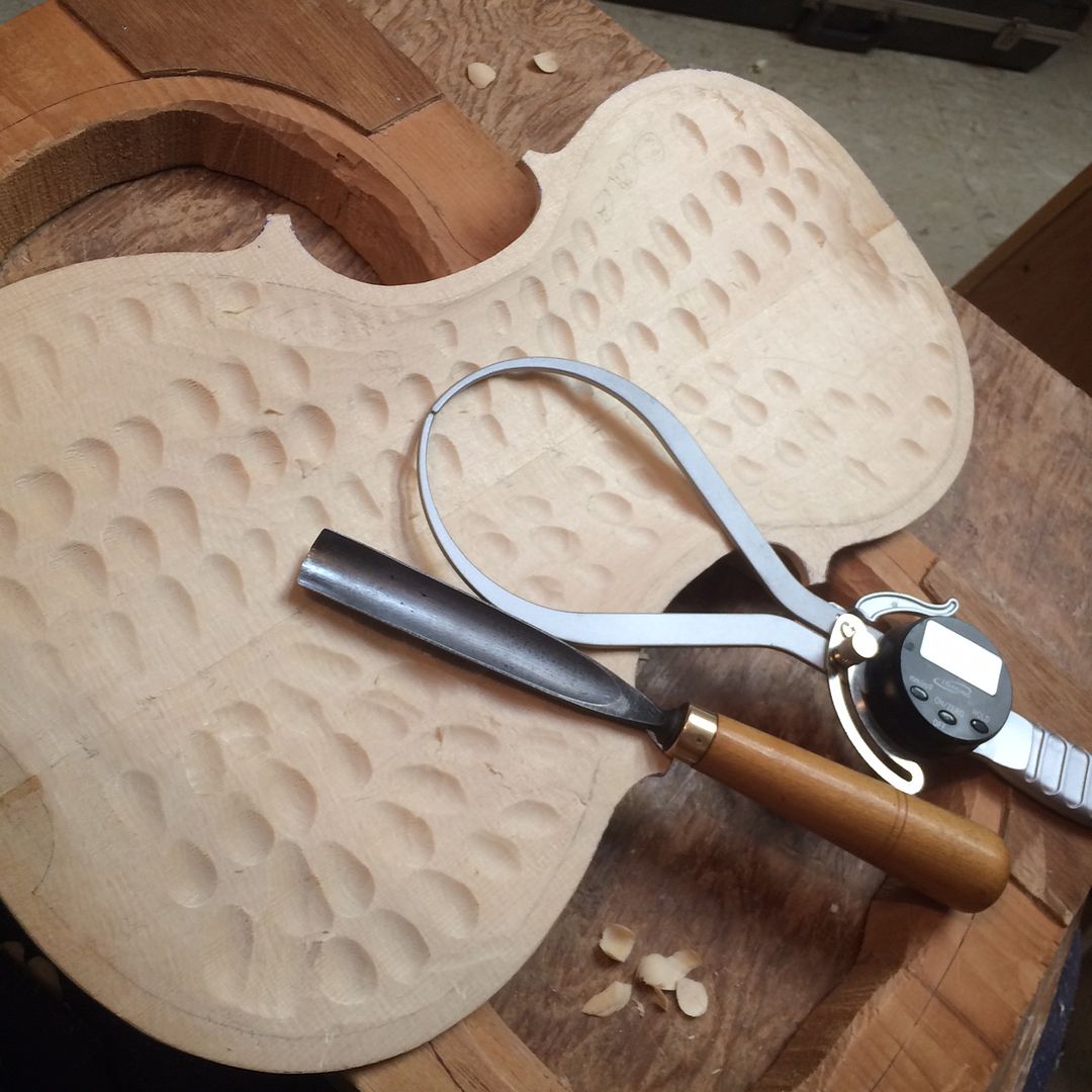 Carving thickness "dots" for the front plate of the 16-1/2" five-string Viola.
