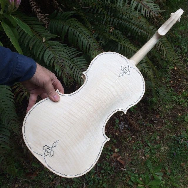 16-1/2" five-string Viola Back ready for varnish.