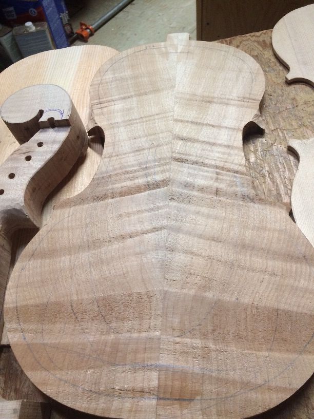 Heavily Flamed Maple for the back plate.