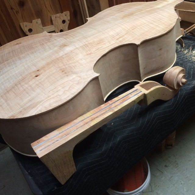 Back plate sitting on garland assembly with front plate of five-string double bass.