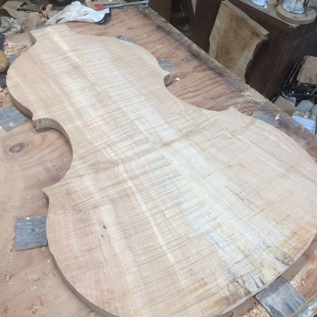 Back Plate for five-string double bass traced and cut to shape.