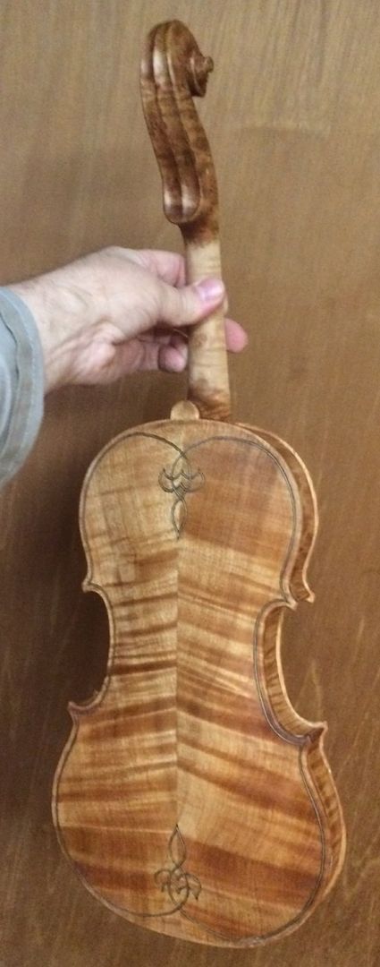 Back view of Oregon Big Leaf Maple five-string fiddle with sealer.
