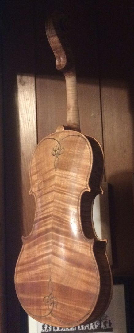 Back view of handmade 5-string Oregon bluegrass fiddle with sealer.