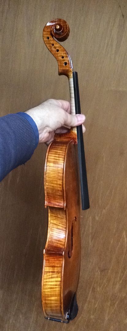 five string viola conversion made in Oregon by Chet Bishop, Luthier