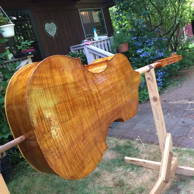 Clear coat on double bass.