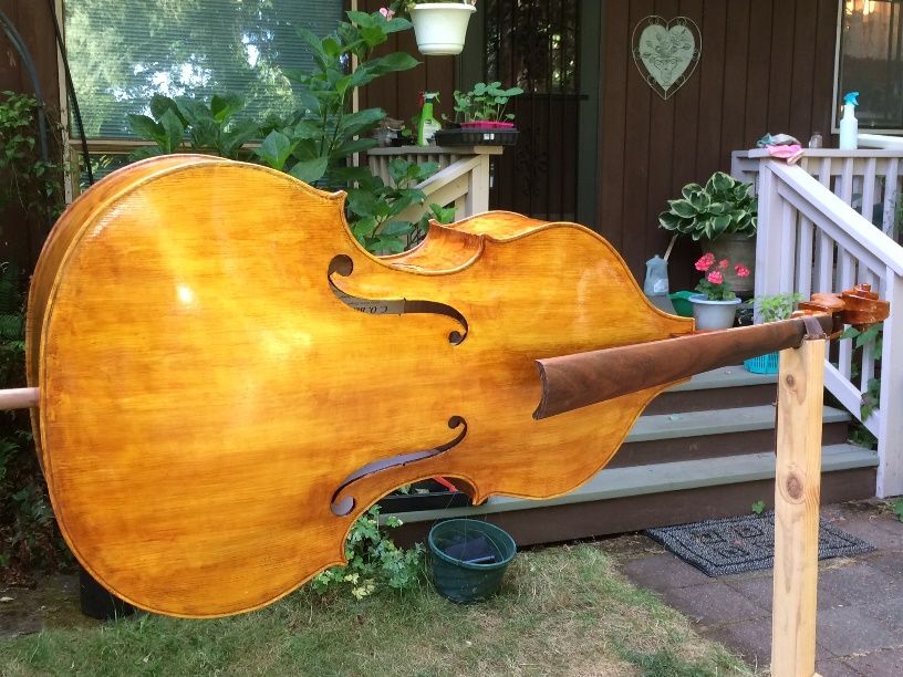 Final clear coats of varnish on five-string double bass.