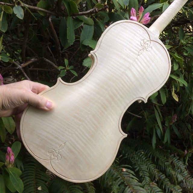 The goal is to complete the whole slot before inserting any purfling on the 16-1/2" five-string Viola.