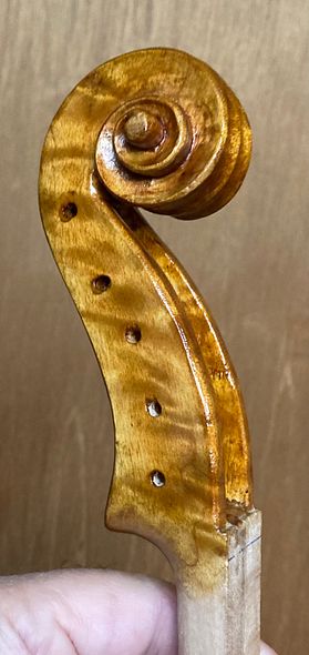 Brown over yellow varnish on scroll of five-string bluegrass fiddle handcrafted in Oregon by artisanal luthier Chet Bishop, 
