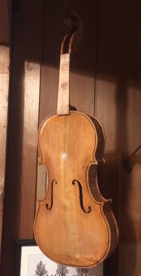 Front view of handmade five-string fiddle with early coats of varnish.