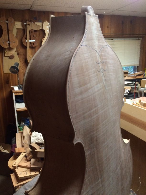 Beginning final edgework on back plate of five-string double bass.