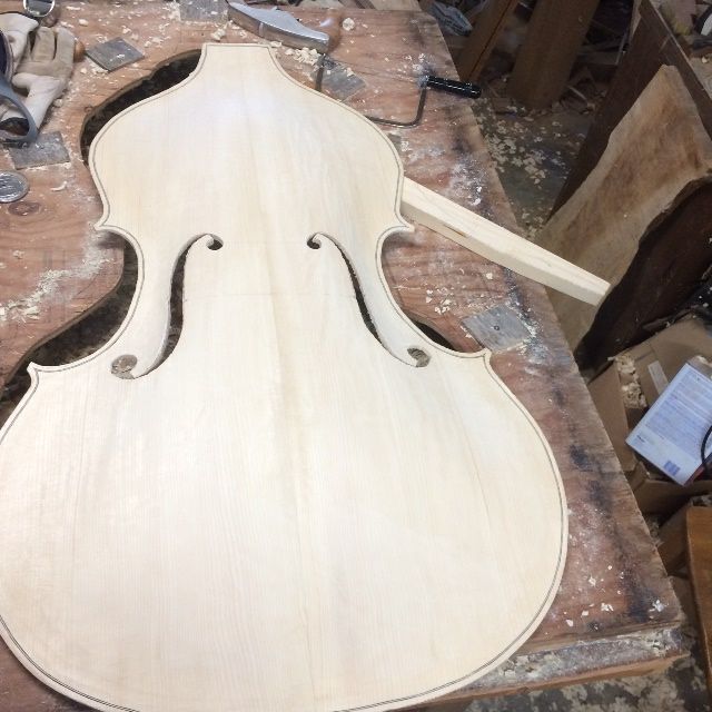 f-holes in five-string double bass cut out.