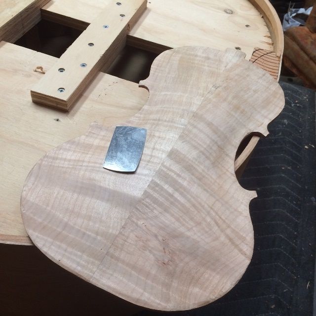 Five-string fiddle back arching nearly complete.