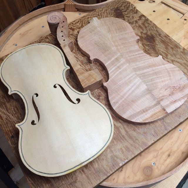Five string fiddle begun, with back and neck from scrap from a 5-string double bass back.