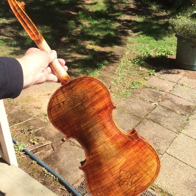 Five String Viola Final Varnish, Back View.
