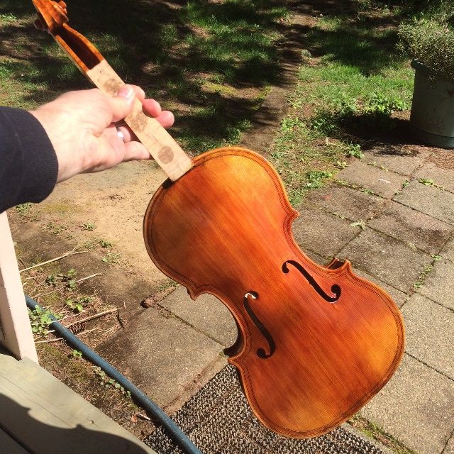 Five String Viola, Final varnish front view.