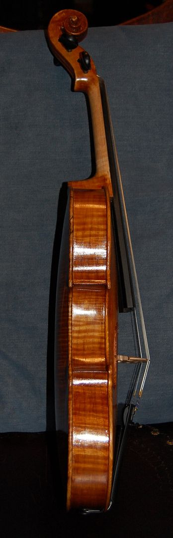 Side view of 14" Viola