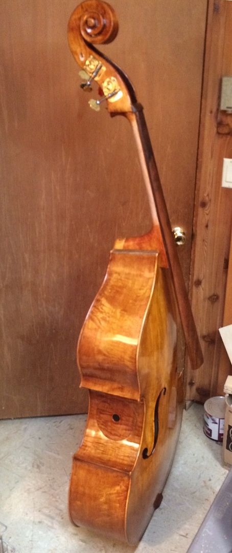 Five-string Double Bass, ready for set-up!