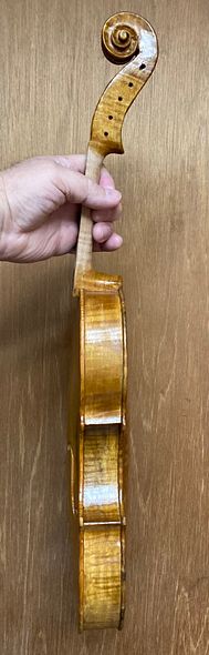 First color coat on treble side of commissioned 5-string fiddle handcrafted in Oregon by artisanal luthier, Chet Bishop