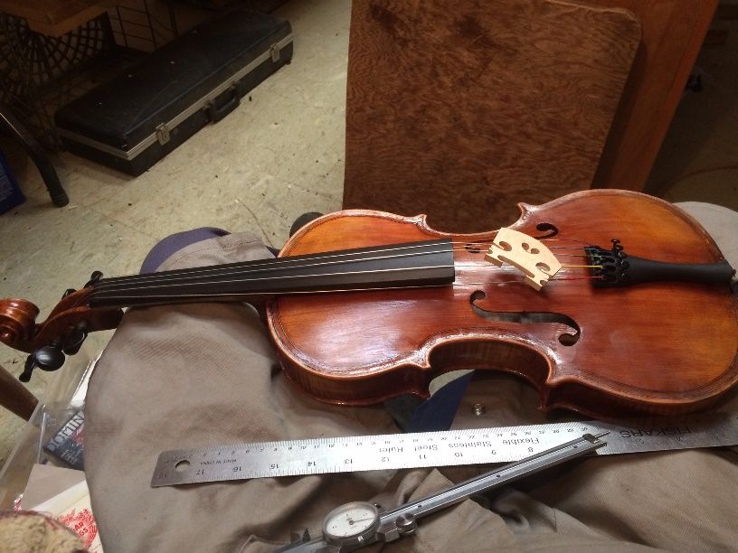 Pegs, nut, saddle, end-button and soundpost installed on Five String Viola. Working on the bridge.