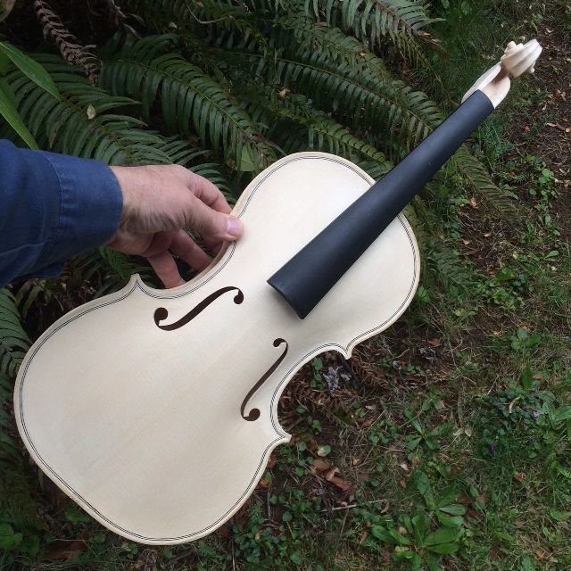 16-1/2" five-string Viola Front ready for varnish.
