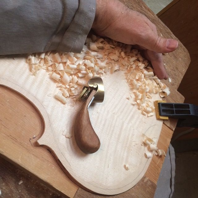 Beginning graduation of the back plate of the 16-1/2" five-string Viola.