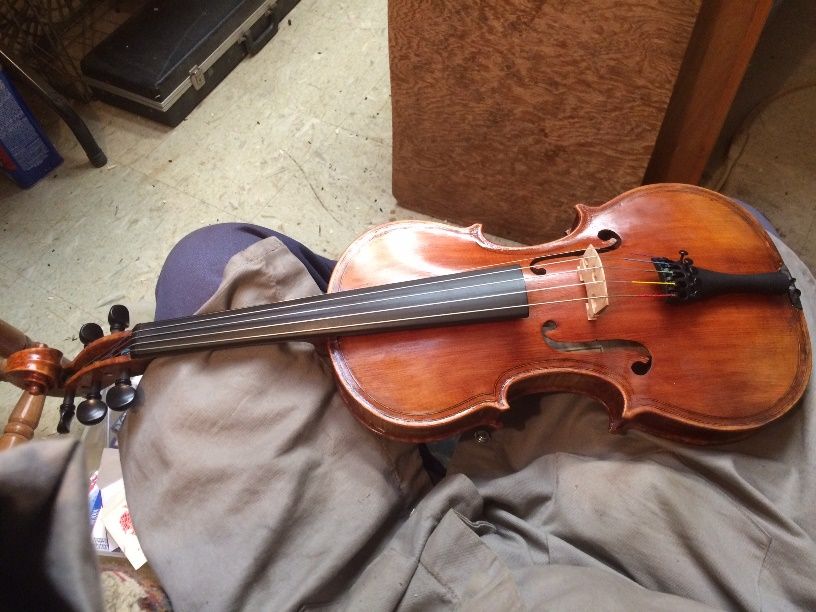 Almost done with set-up of Five String Viola: chinrest and final adjustments remaining.