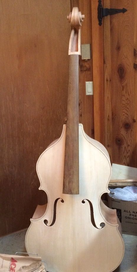 Bass with temporary neck set.