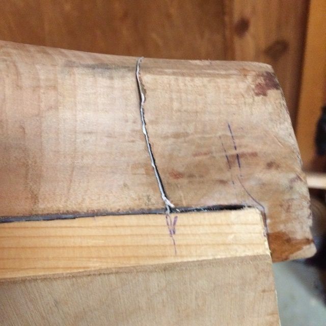Heel root positioned and glued to mortise, using hide glue.